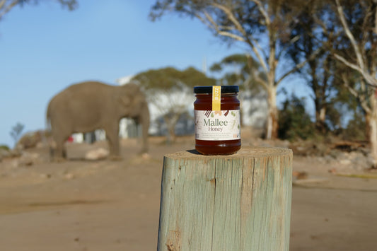Monarto Bush Mallee Honey / Monarto