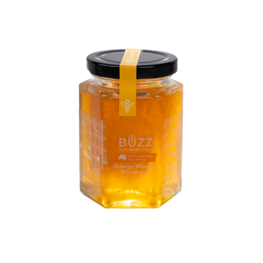 Orange Blossom Honeycomb in Honey